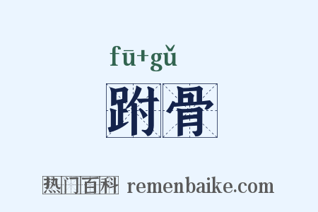 跗骨是什么意思的图片
